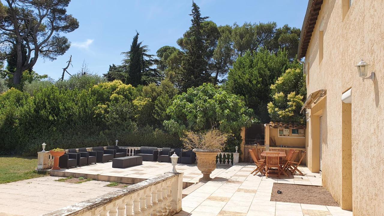 Domaine D'Herminis - Gite De Dame Carcas Carcassonne Exteriör bild
